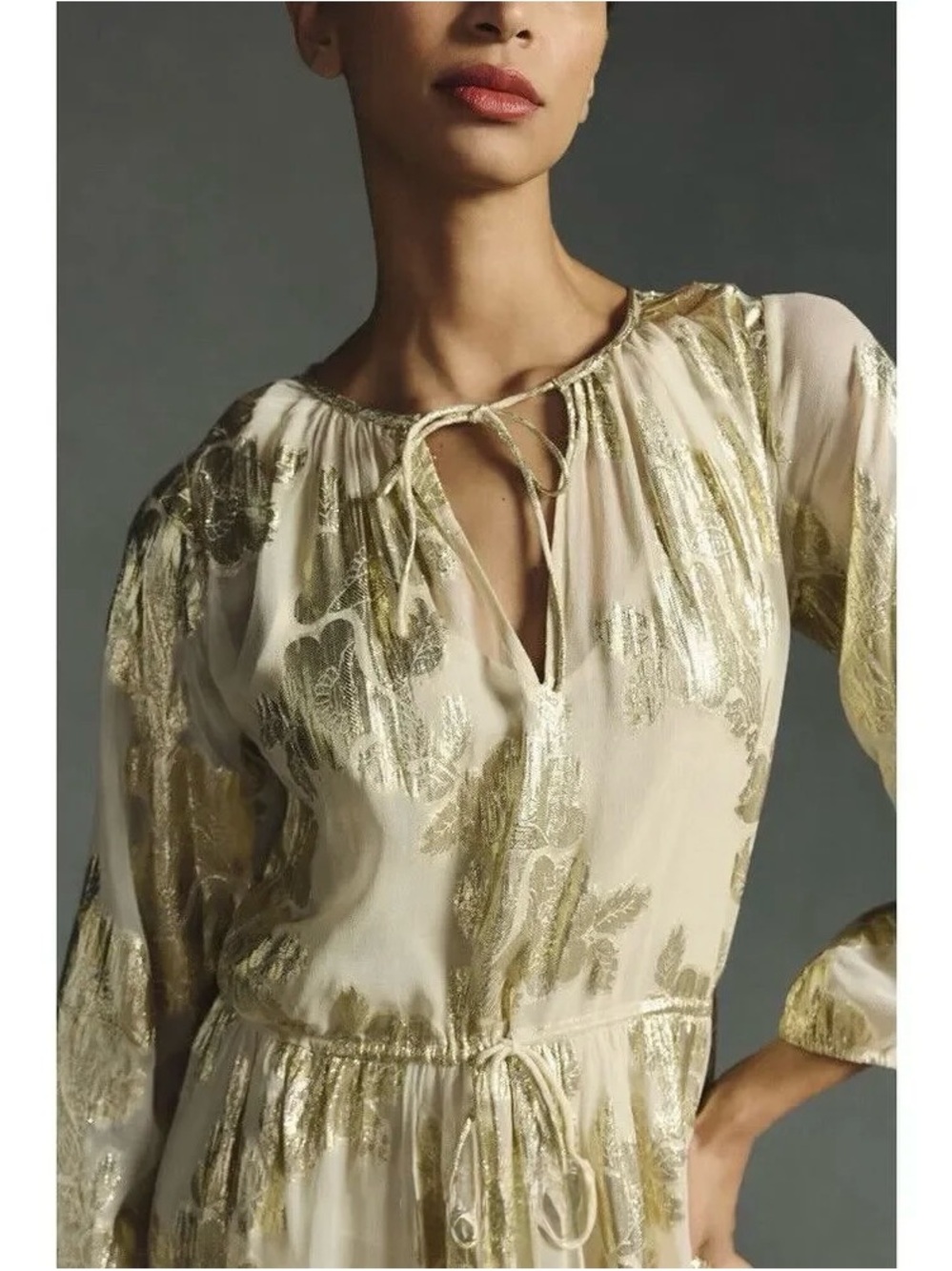 Anthropologie (Pinnacle) | Sheer Metallic Gold Dress, L NWT - Picture 3 of 15